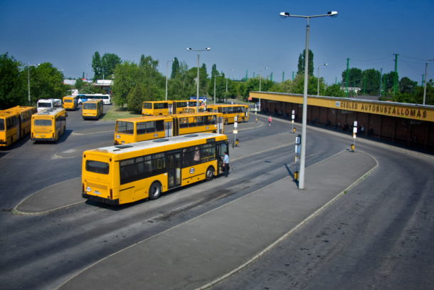 61_cegled01